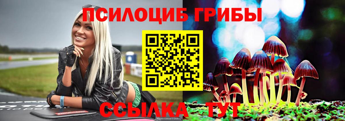 Псилоцибиновые грибы мухоморы Елец
