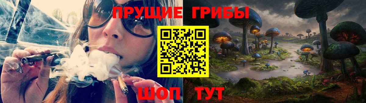 Галлюциногенные грибы GOLDEN TEACHER  что такое   Галлюциногенные грибы ЛСД  Елец  Вход с VPN 